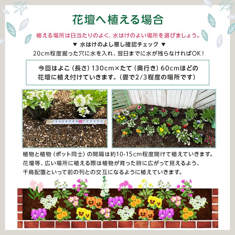 Amazon.co.jp: 土っ子倶楽部 季節 の 花苗 24苗 セット （ パンジー